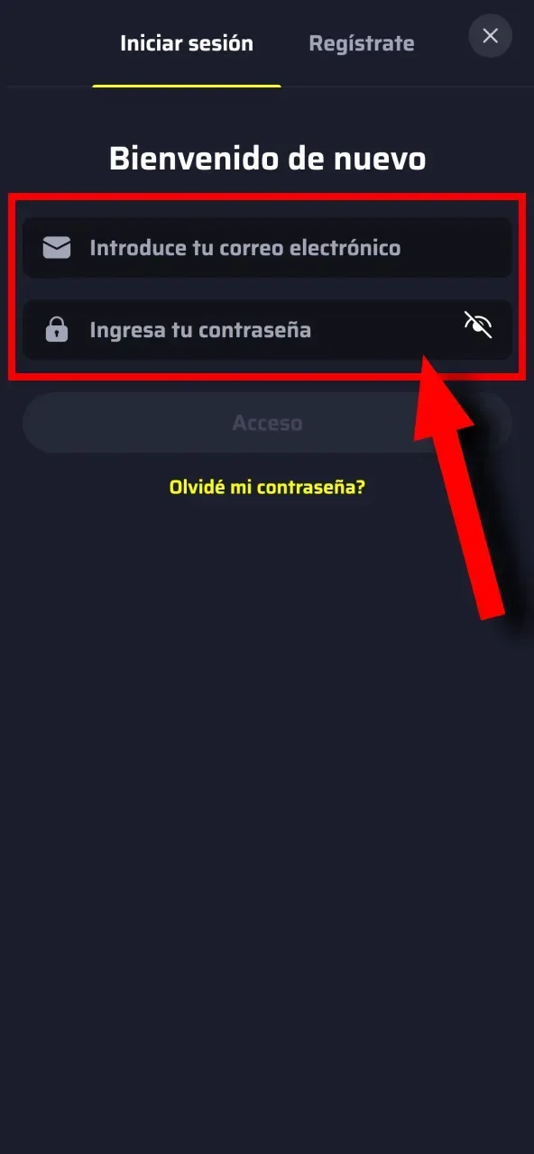 Escribe tus datos de acceso en BDMbet y continúa con la autenticación segura.