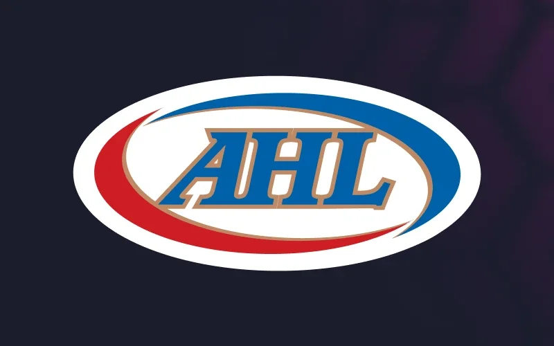 En BDMbet puedes apostar al American Hockey League.