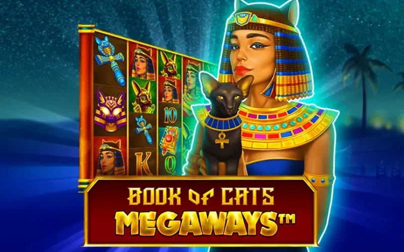Únete a BDMbet y juega al juego Book of Cats.
